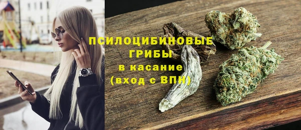 круглые Алзамай