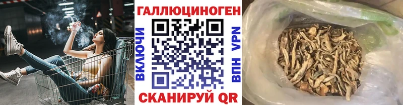 Галлюциногенные грибы ЛСД Долинск